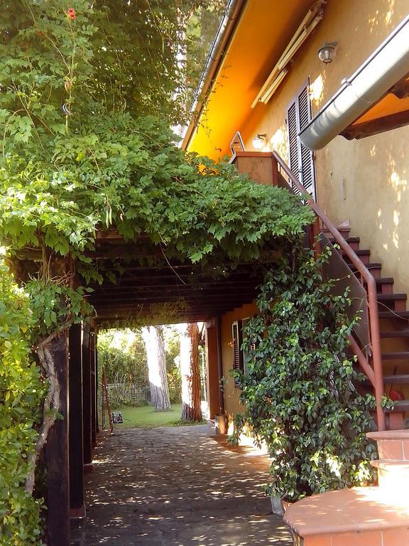 Il Gelsomino Villa Forte dei Marmi Exterior photo