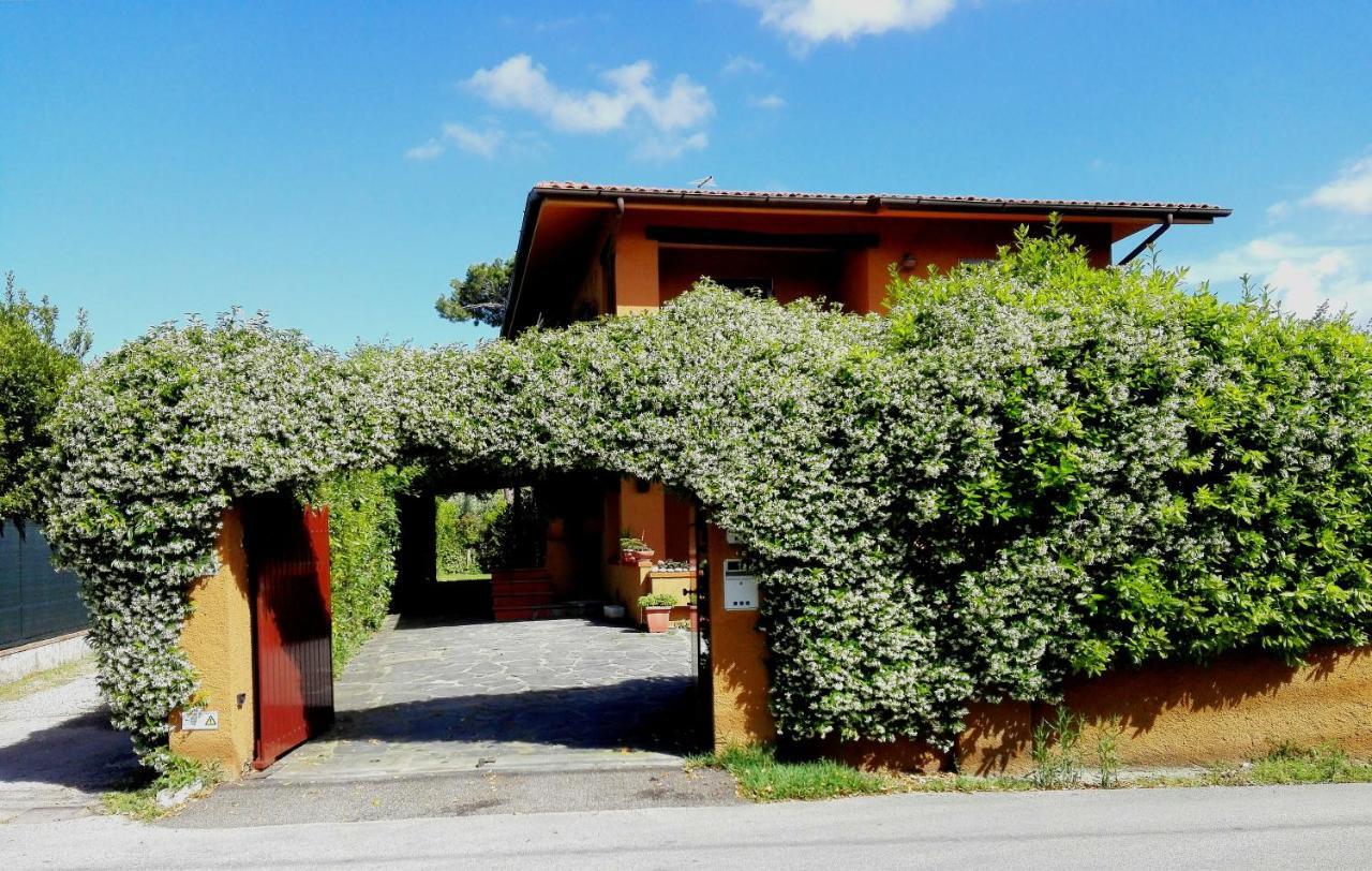 Il Gelsomino Villa Forte dei Marmi Exterior photo